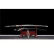 Longquan sword Handmade / Animation/anupdated  version/Kill Bill  ZS69