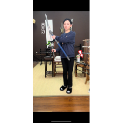 China sword Handmade /functional/sharp/ 龙王剑/P86